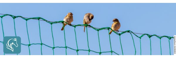 Tierschutznetze nach Maß