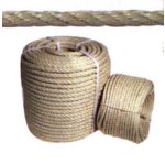  Sisal is a natural fibre and is produced in...