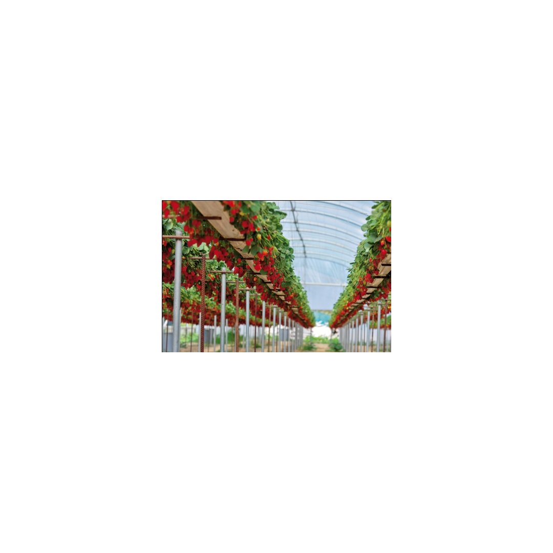 Shade net, sun protection net, 70% shading, BROWN, 2 m × 100 m
