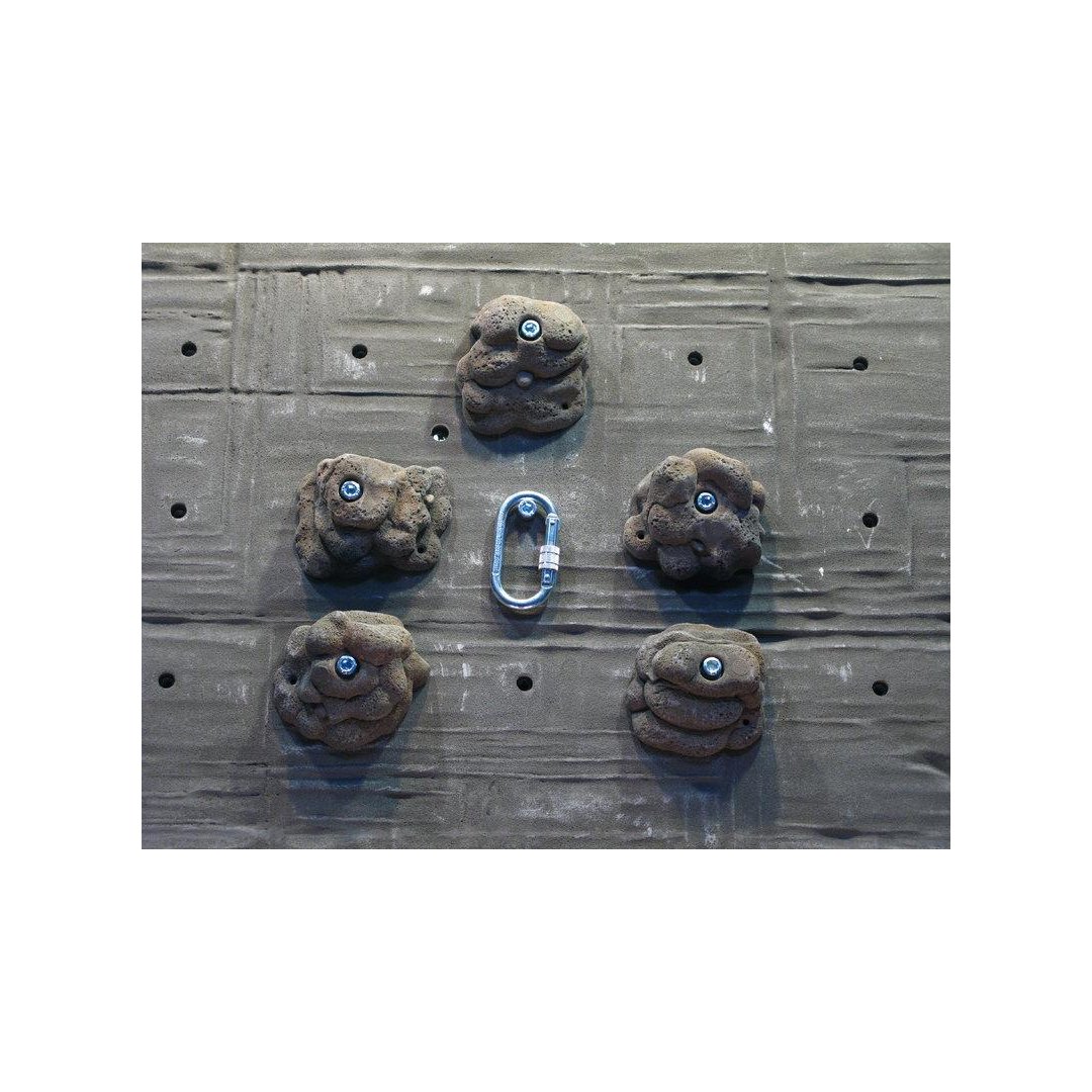 Klettergriff-Set Lausche 5-teilig Violett