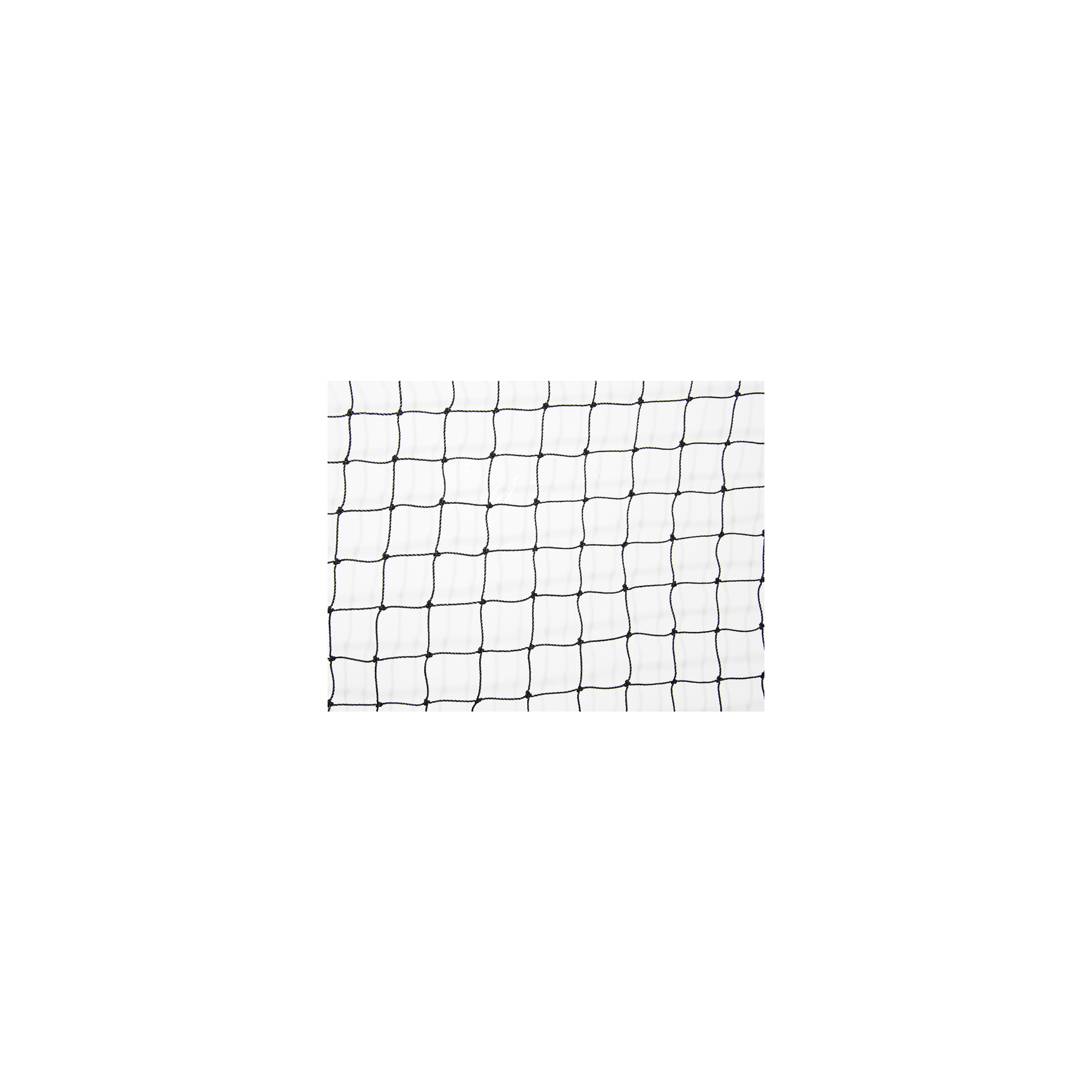 PE net Ø 2,2 mm yarn thickness, # 50 mm mesh size,...