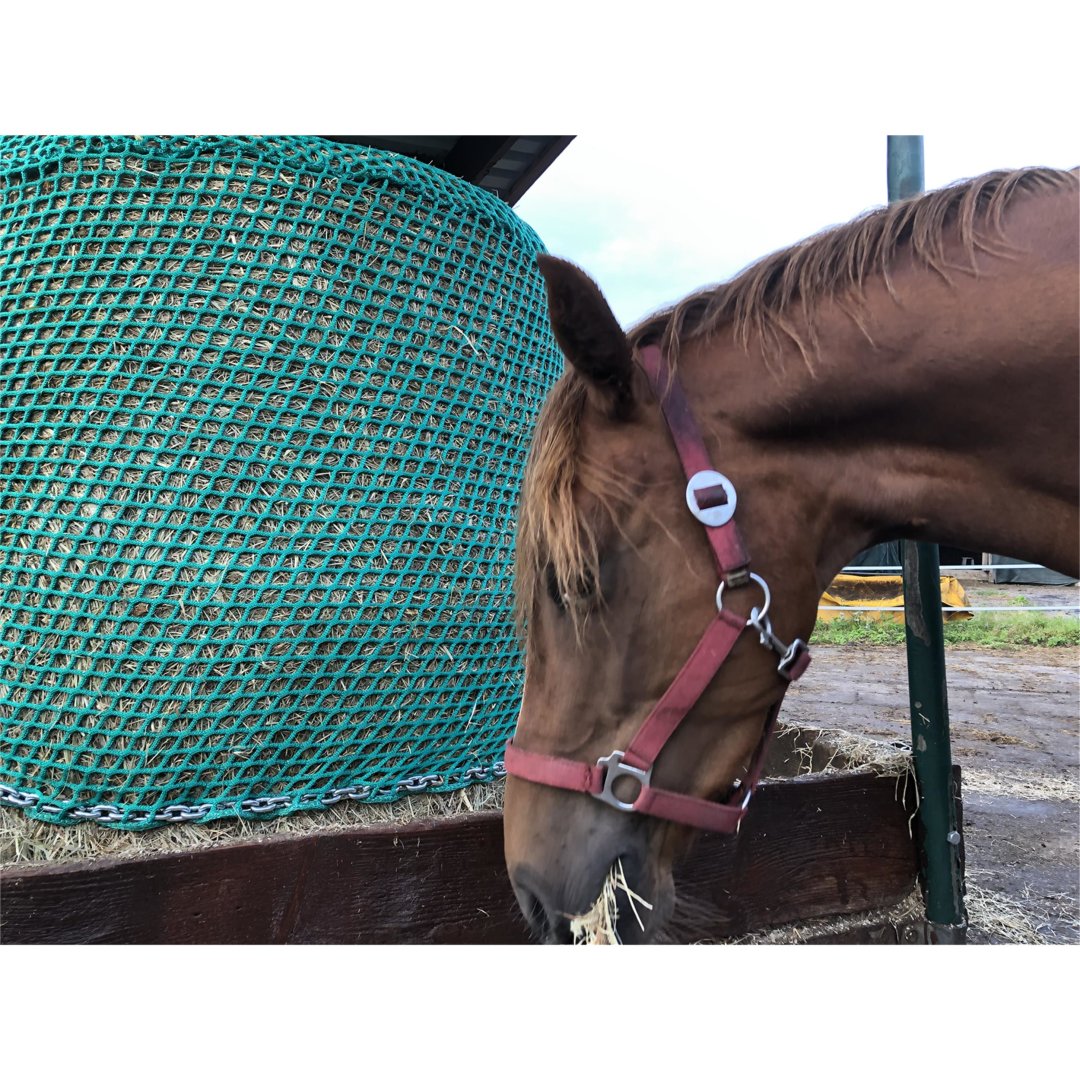 Reinigungsservice für Heunetze