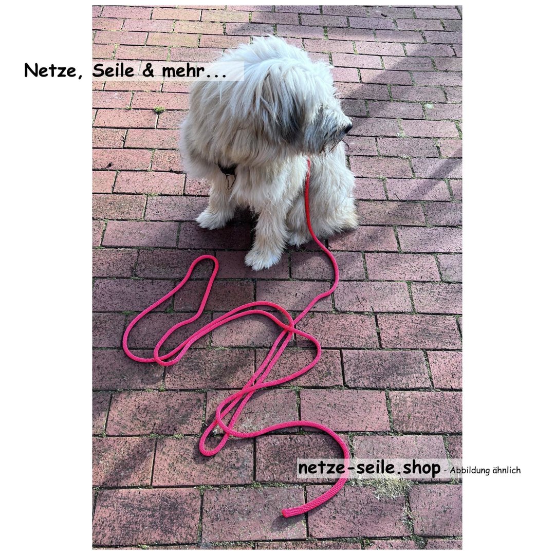 Dog towline made of Ø 10 mm spiral braid with swivel carabiner 6 metres-Red-with wrist strap