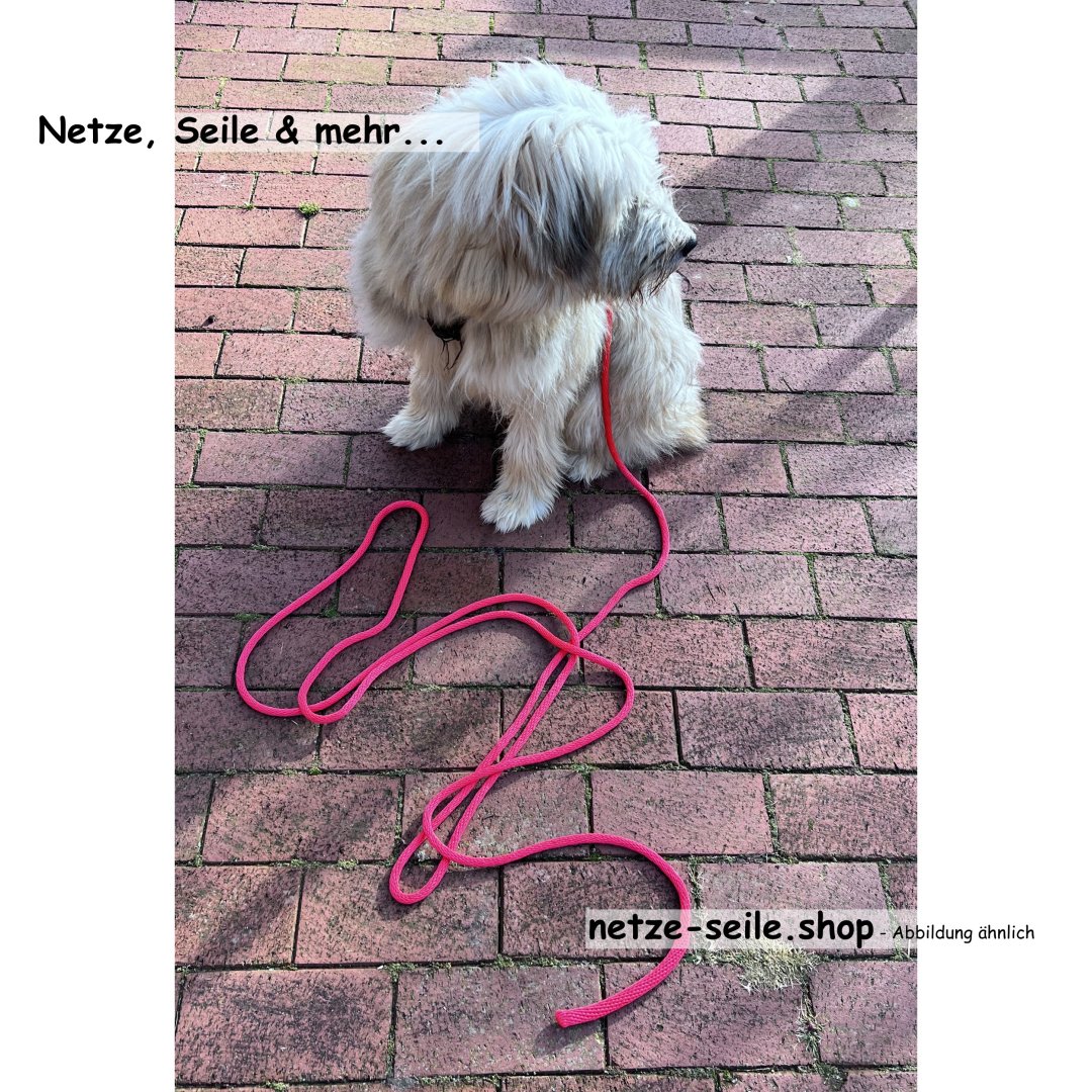 Dog towline made of Ø 10 mm spiral braid with swivel carabiner 10 metres-Red-without wrist strap