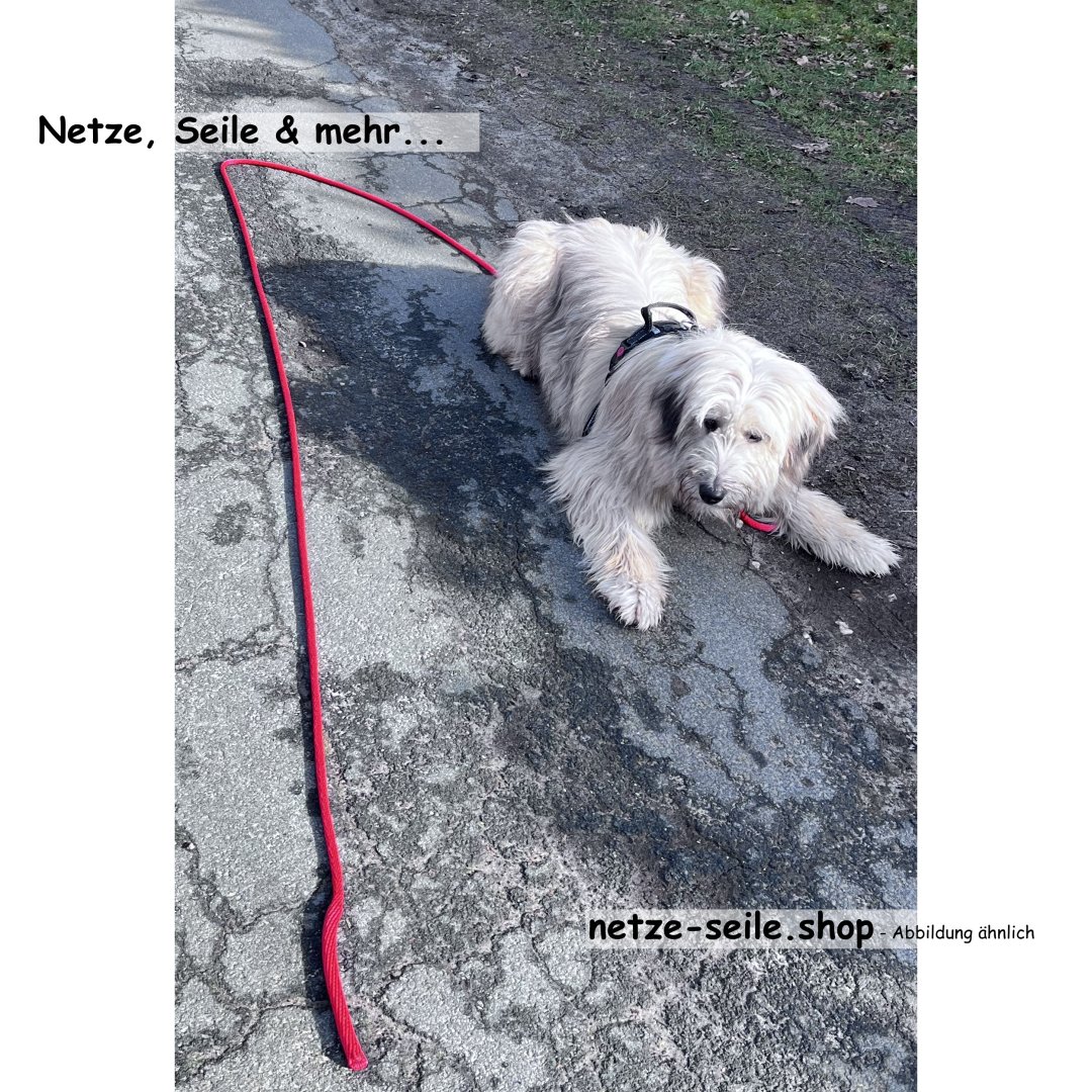 Dog towline made of Ø 10 mm spiral braid with swivel carabiner 10 metres-Red-without wrist strap