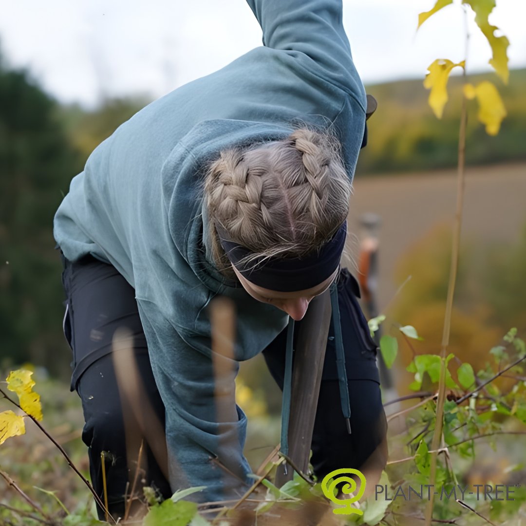 Klimaatbescherming - Plant een boom